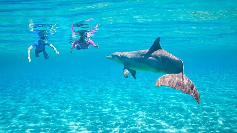 From Hurghada: “Dolphin House” Snorkeling and Water Sports.