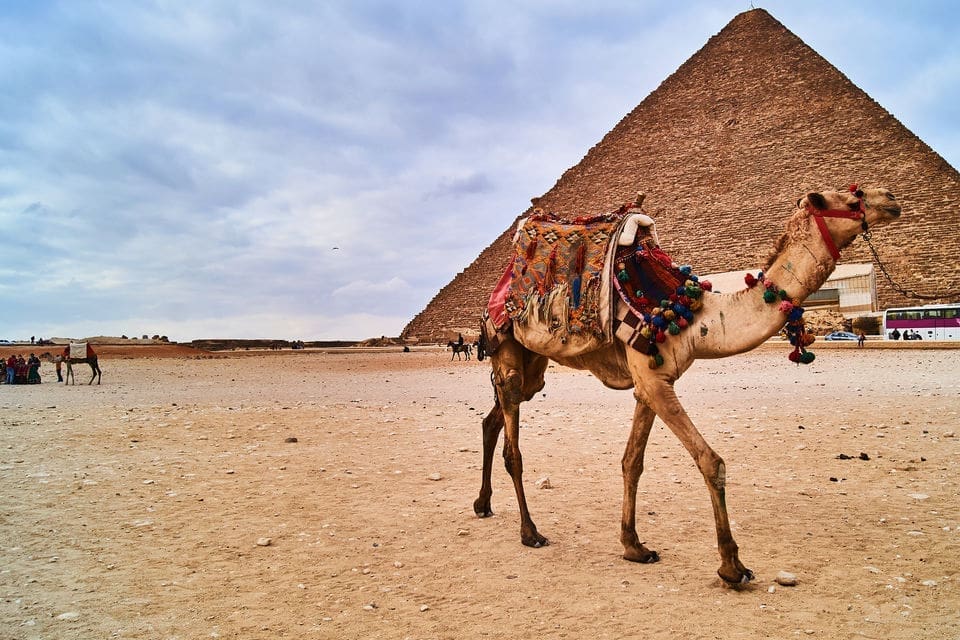 From Cairo: Half Day Pyramids Tour by Camel or Horse Carriage.