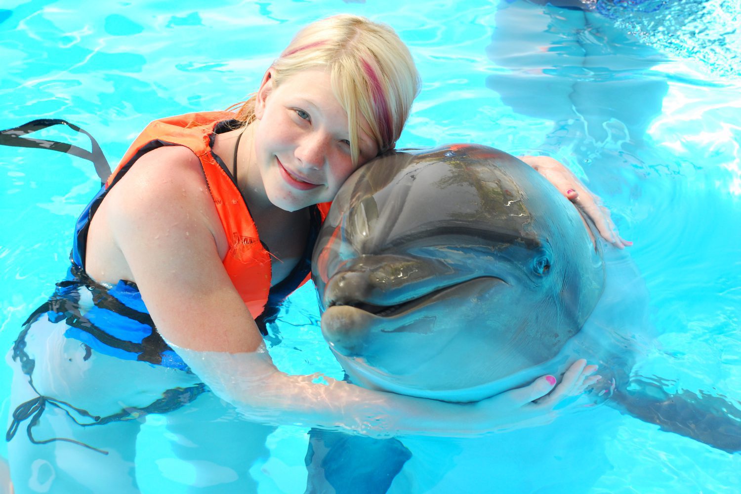 Dolphin Show, Dolphin Swim, Funny Trips with Trivaeg