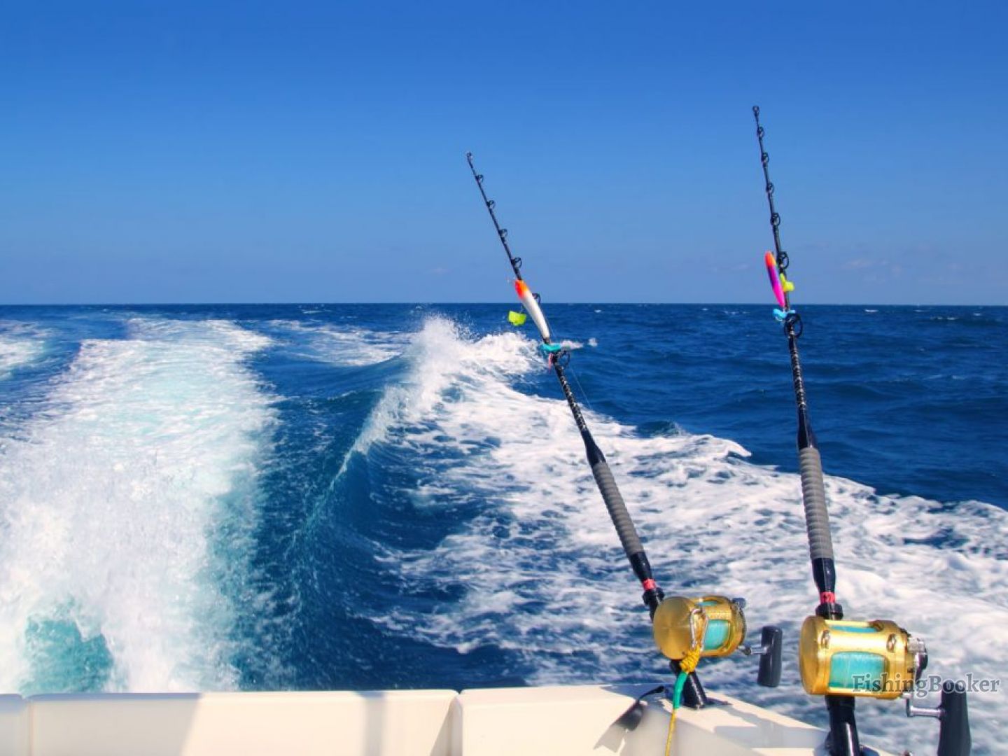 Fishing, Private fishing, Snorkling with fishing exclusive with Trivaeg