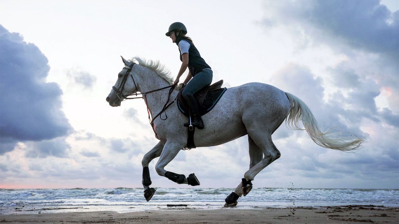 From Hurghada: Horse Riding 2 Hours On The Beach Or In The Desert.