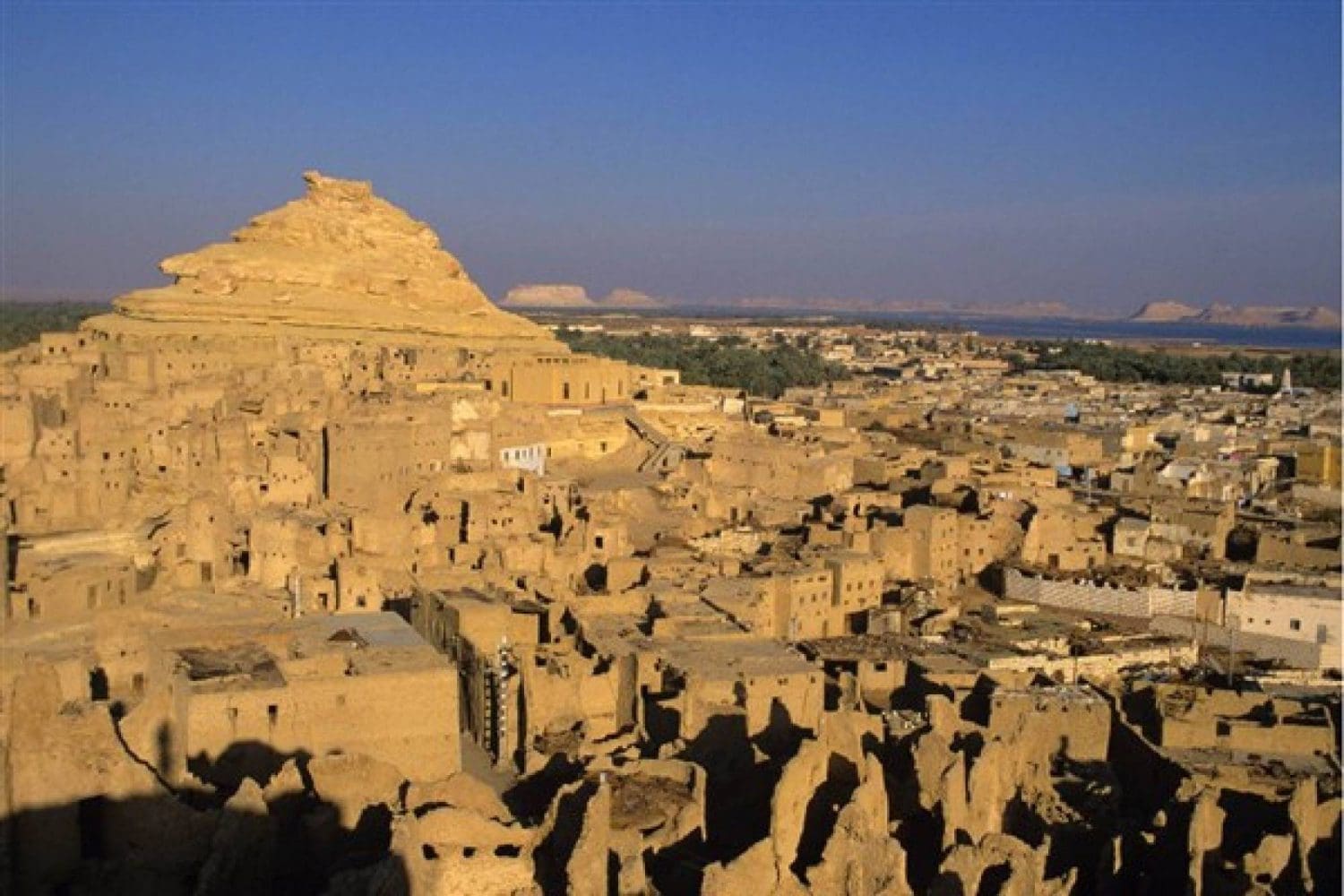 Dead Mountain, Camel Mountain, El Alamin City, cairo, the Egyptian Museum, 7 Days Siwa Oasis with Trivaeg