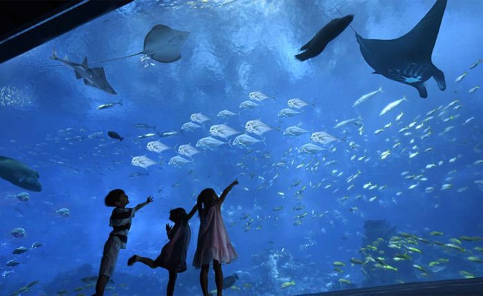 grand aquarium in Hurghada