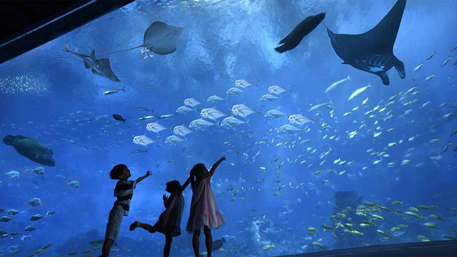 grand aquarium in Hurghada